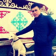 ���������� ��������, ���� ������� ������, 37 ���, ������������ ��� ������, ����� � ���������, c�������� ���������