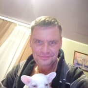 ���������� ��������, ���� ������� ���������, 50 ���, ������������ ��� c�������� ���������