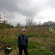  ,   Ziabka, 43 ,   ,   , c 