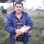  ,   , 55 ,   
