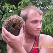 ���������� �����-���������, ���� ������� �������, 41 ���, ������������ 