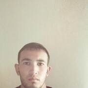  ,   Shoxrux, 28 ,   ,   , c 