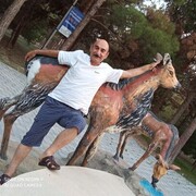  ,   , 53 ,   ,   