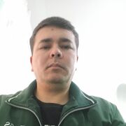 ���������� ������, ���� ������� Sardor, 33 ����, ������������ ��� ����� � ���������, c�������� ���������