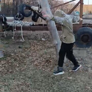 ���������� �����������, ���� ����� �����, 24 ����, ������������ ��� ������, ����� � ���������