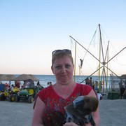 ����� 2013���, ������.