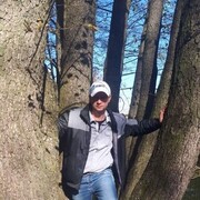 ���������� �����, ���� ������� �������, 40 ���, ������������ ��� c�������� ���������