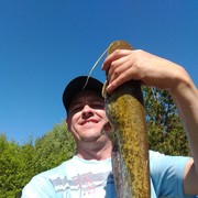 ���������� ��������, ������� �������, 43