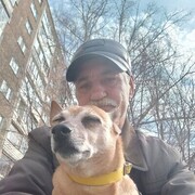 ���������� �������, ���� ������� ������ �����, 59 ���, ������������ ��� ������, ����� � ���������