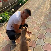 ���������� ������, ���� ������� �����, 36 ���, ������������ ��� ������, ����� � ���������, c�������� ���������, ���������