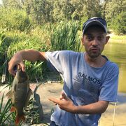 ���������� ����, ���� ������� ���������, 37 ���, ������������ ��� ������, ����� � ���������, c�������� ���������, ���������