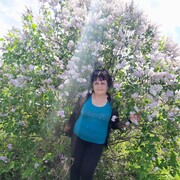  ,   , 62 ,  