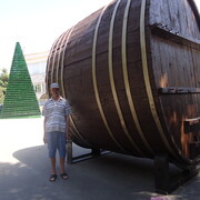  ,   , 55 ,   ,   , c , 