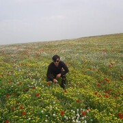  ,   Abdurashid, 33 ,   ,   