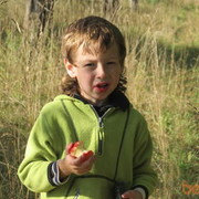 ���������� ����, ���� ������� ����, 41 ���, ������������ ��� ������, ����� � ���������, c�������� ���������