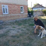  --,   , 53 ,   ,   , 