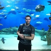 ���������� ������, ���� ������� �������, 40 ���, ������������ ��� ����� � ���������, c�������� ���������