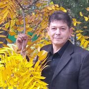  ,   , 49 ,   ,   