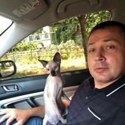  ,   , 43 ,   ,   , c 