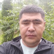  ,   , 41 ,   ,   