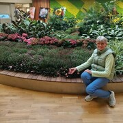 ���������� ��������, ���� ������� �������, 67 ���, ������������ ��� c�������� ���������