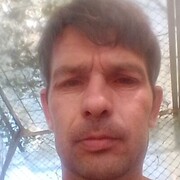 ,  , 44