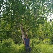  ,   , 44 ,   ,   , 