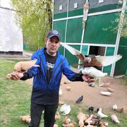 ���������� ������, ���� ������� ���������, 47 ���, ������������ ��� ������, ����� � ���������