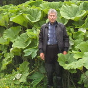  ,   , 64 ,   