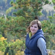 ���������� ���������, ���� ������� ����, 46 ���, ������������ ��� ������, ����� � ���������, c�������� ���������