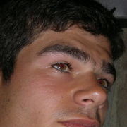 ���������� ����, ���� ������� Taxo, 36 ���, ������������ ��� ������