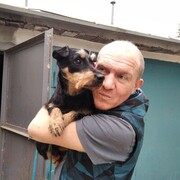 ���������� ������, ���� ������� ����, 40 ���, ������������ ��� c�������� ���������, ���������