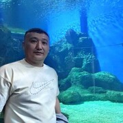 ���������� ���������, ���� ������� ������, 40 ���, ������������ ��� ������, ���������