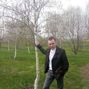 ���������� ������������, ���� ������� ���������, 44 ����, ������������ ��� ������, ����� � ���������