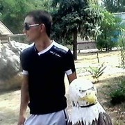  ,  , 33