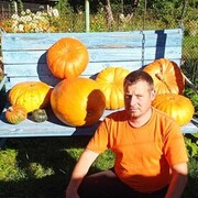  -,   , 45 ,   ,   
