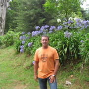 ,   , 48 ,   