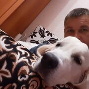 ���������� ���������, ���� ������� ������, 35 ���, ������������ ��� ������, ����� � ���������, c�������� ���������, ���������