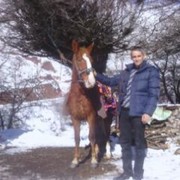 ���������� ����������, ���� ������� ������, 42 ����, ������������ ��� ������, ����� � ���������, c�������� ���������