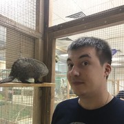  ,   , 37 ,   ,   , c 
