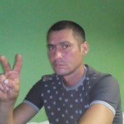  ,   Makc, 37 ,   , 