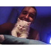 ���������� ������, ���� ������� ����, 31 ���, ������������ ��� ������, ����� � ���������, ���������