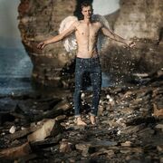 ���������� �����������, ���� ������� ����, 26 ���, ������������ ��� ���������