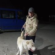  Rybnik,   Temo, 40 ,   ,   , c 