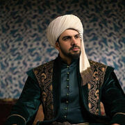 ���������� ������, ���� ������� �����, 31 ���, ������������ ��� ������, ����� � ���������, c�������� ���������, ���������