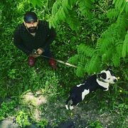  ,   , 34 ,   ,   