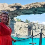  Tychy,  , 43