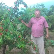  ,   , 63 ,   