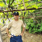 ���������� �����������, ���� ������� �����, 55 ���, ������������ ��� ������, ����� � ���������, c�������� ���������