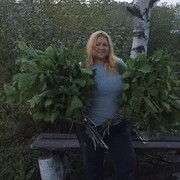 ���������� �����������, ���� ������� �������, 42 ����, ������������ ��� c�������� ���������